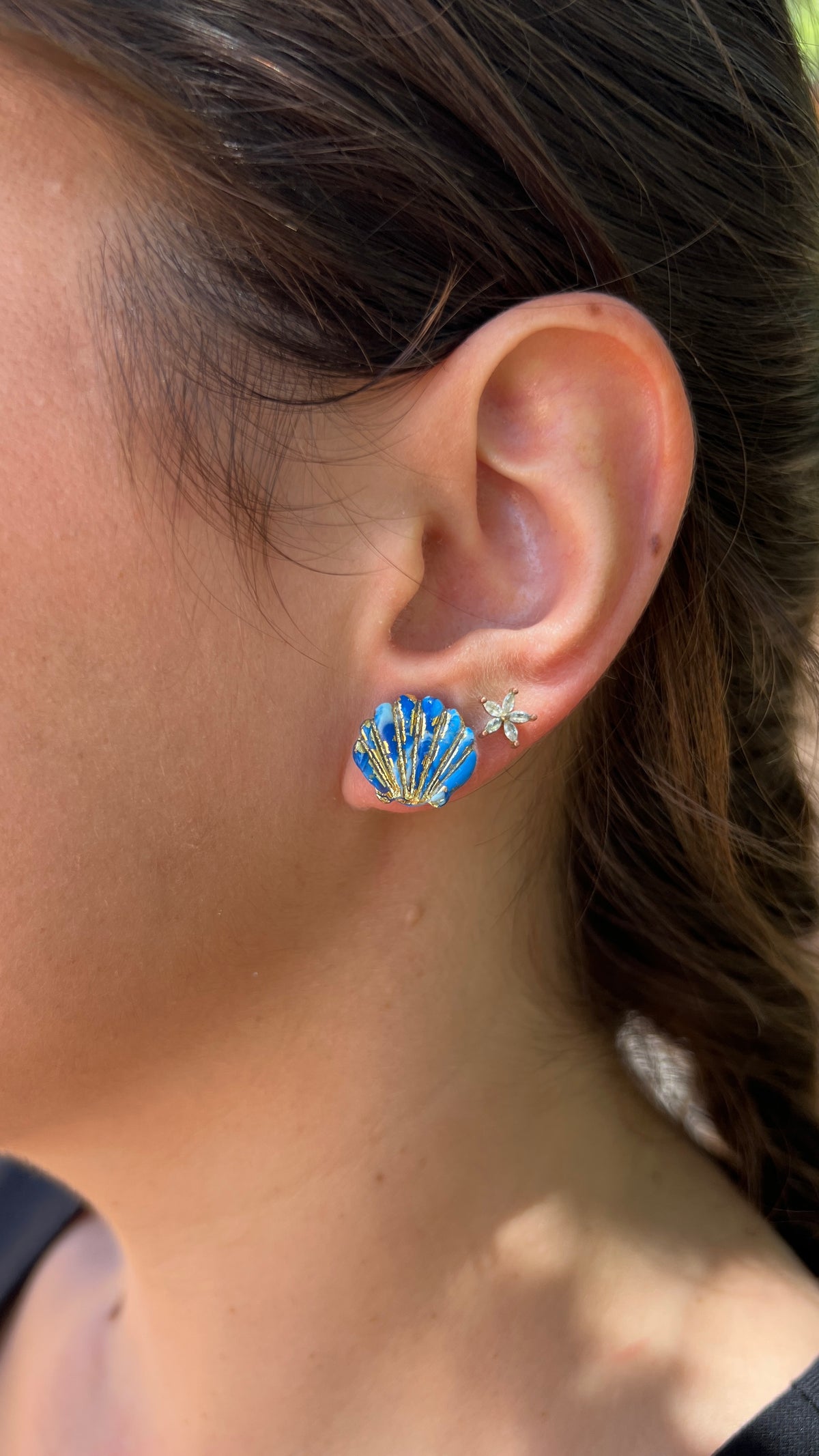 Puces d'oreilles coquillages