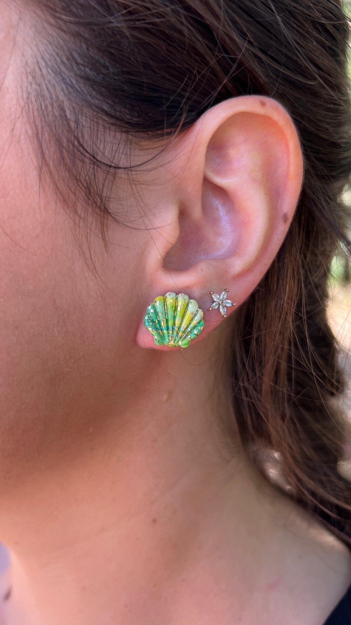 Puces d'oreilles coquillages